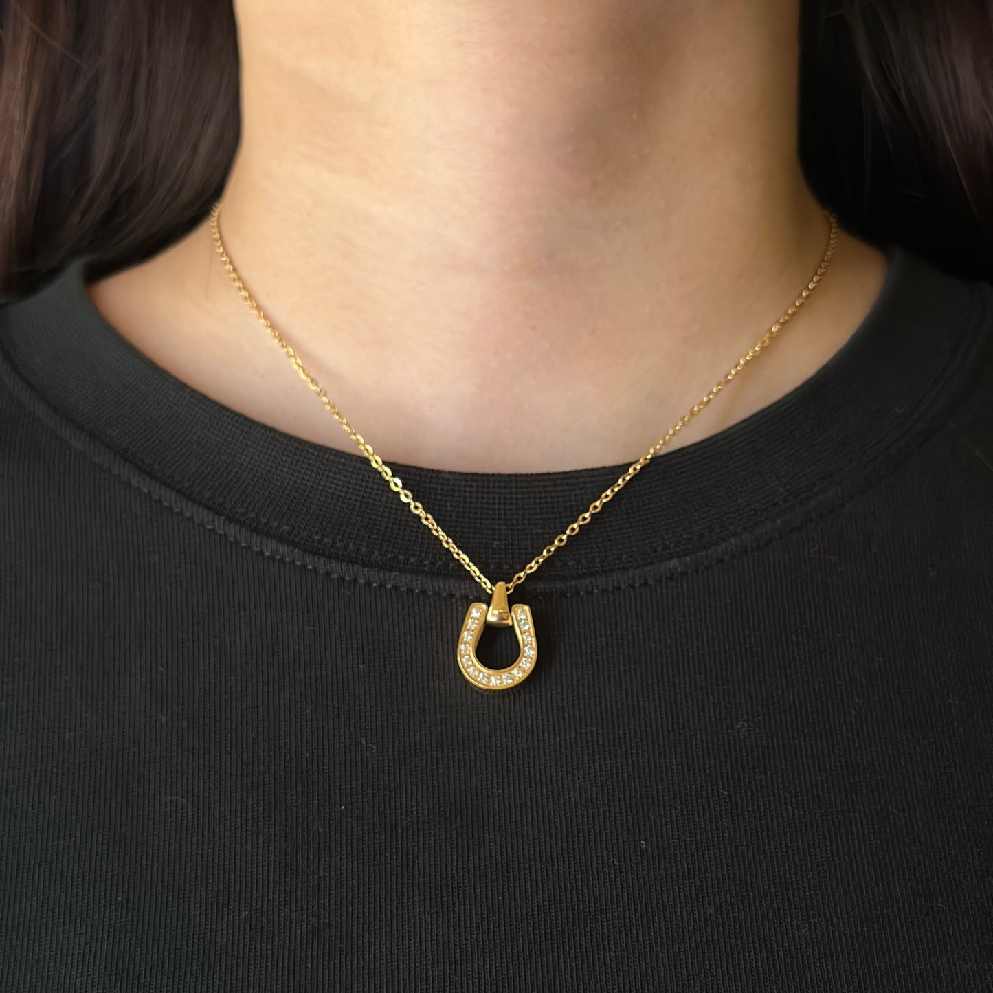 Horseshoe Necklace