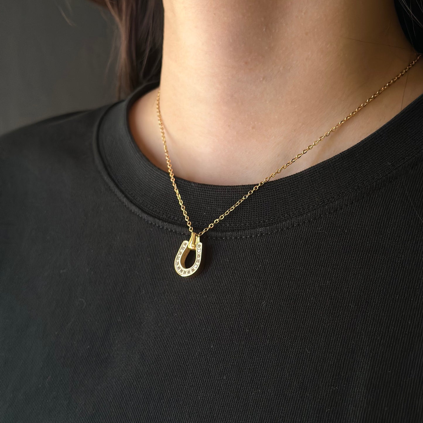 Horseshoe Necklace