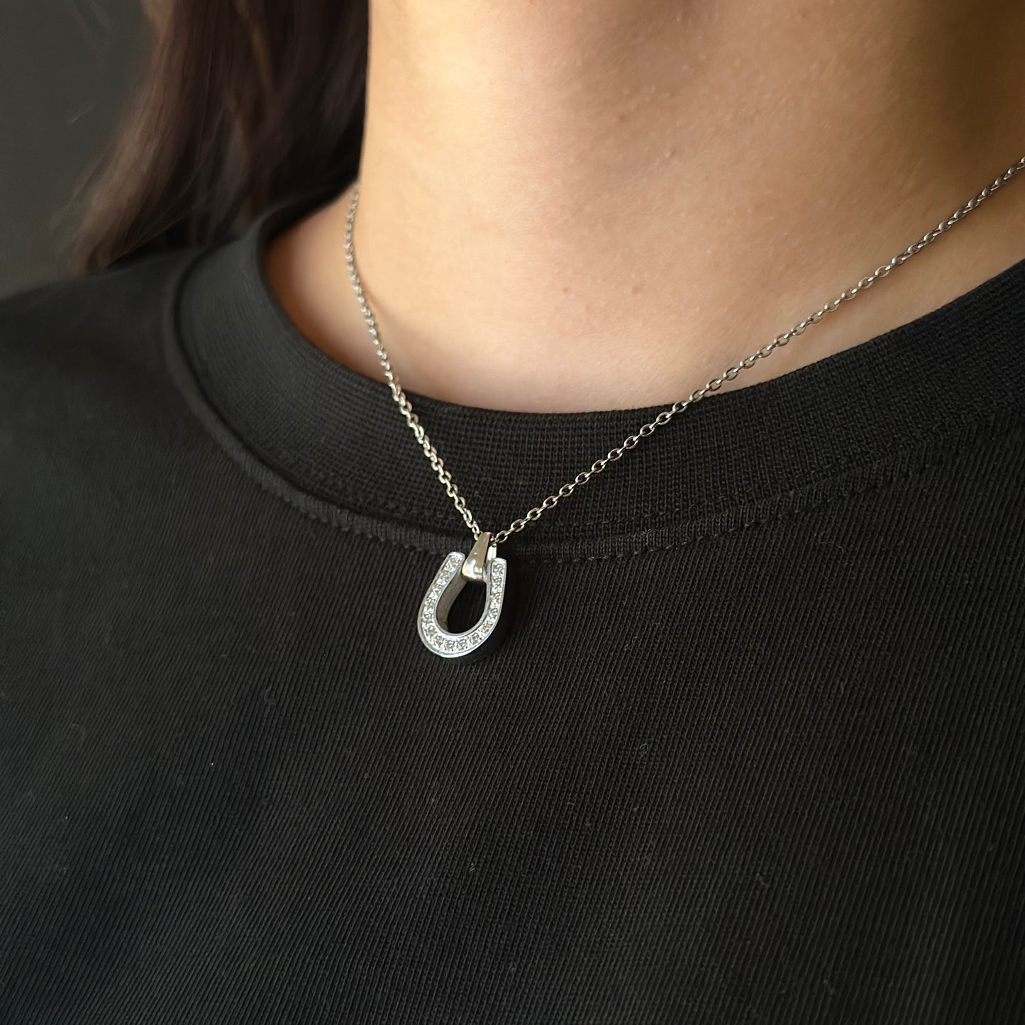 Horseshoe Necklace